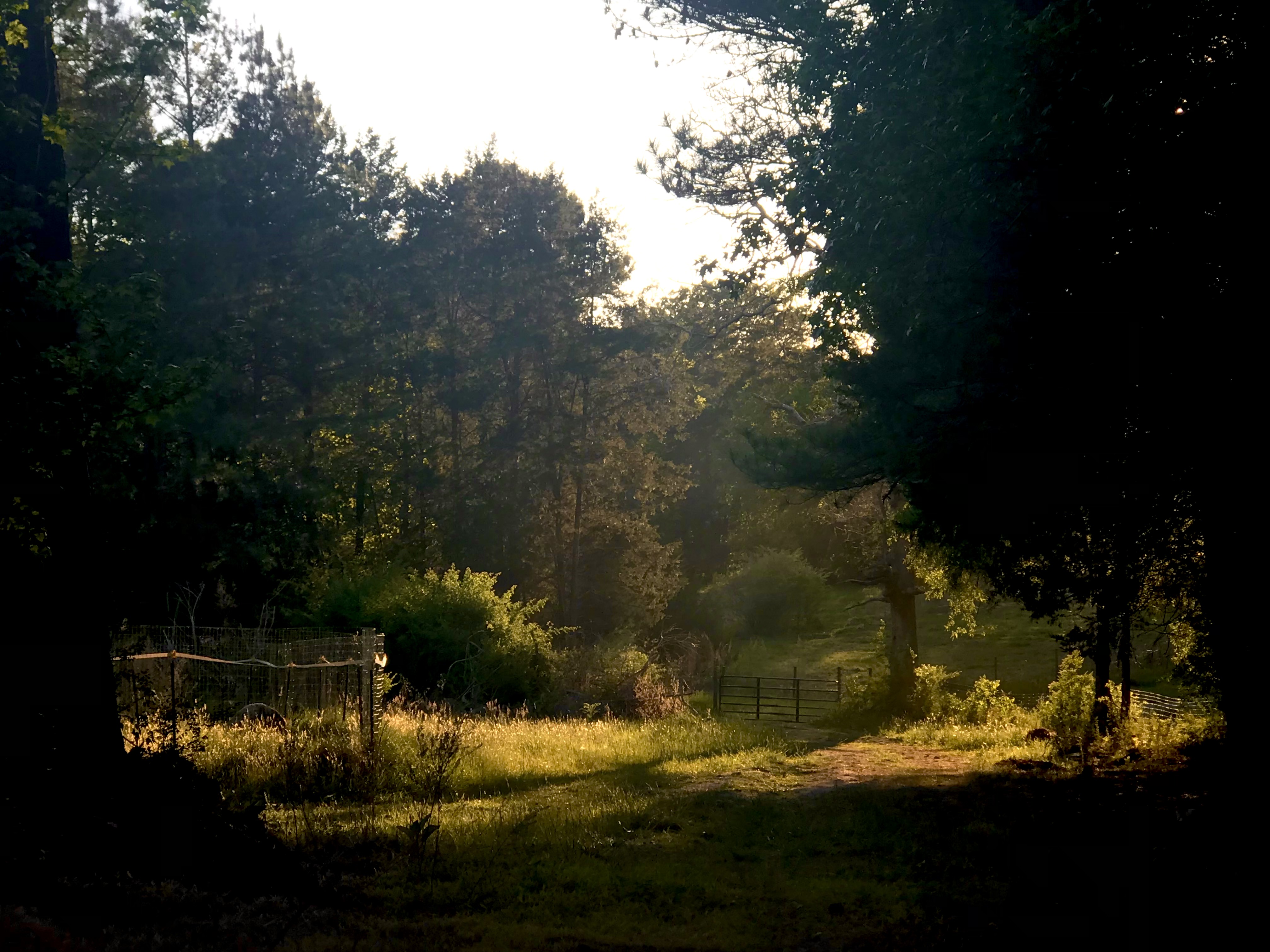 outside